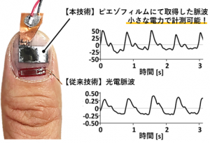 爪から取得した脈波